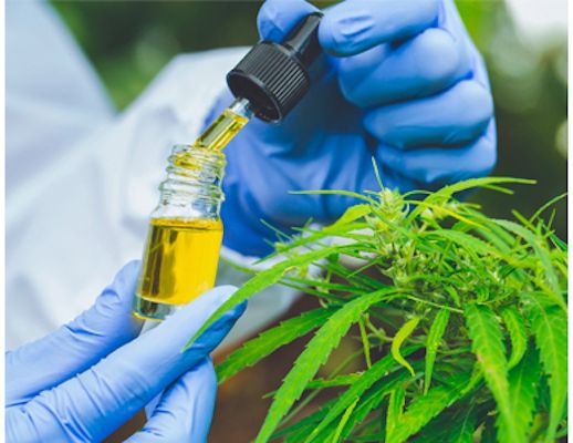 New Whitepaper: Your Guide To Cannabis Testing